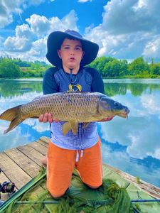 Common Carp