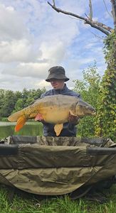 Mirror Carp