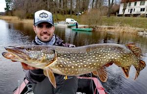 Northern Pike