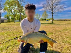 Mirror Carp