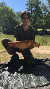 Koï Fish