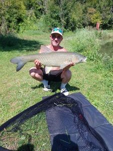 Grass Carp