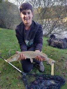 Northern Pike