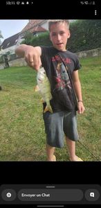 European Perch