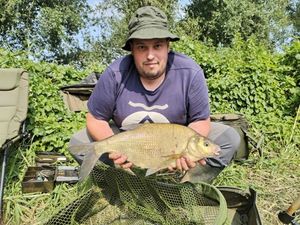 Common Bream