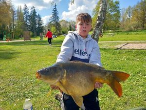 Mirror Carp