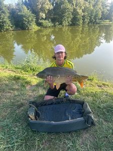 Mirror Carp