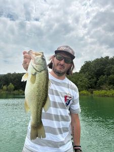 Largemouth Bass