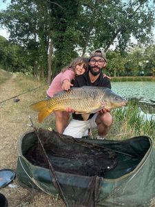 Common Carp