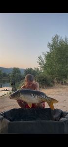 Mirror Carp