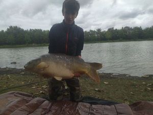 Mirror Carp