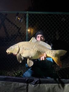 Mirror Carp