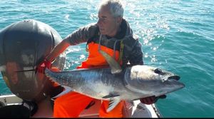 Bluefin Tuna