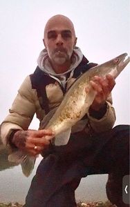 Zander