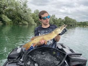 Northern Pike