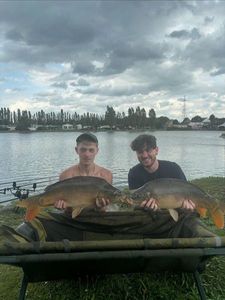 Leather Carp