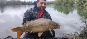 Mirror Carp