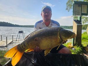 Mirror Carp