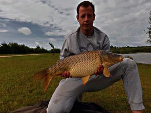 Common Carp