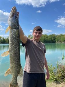 Northern Pike