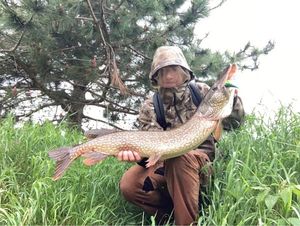 Northern Pike