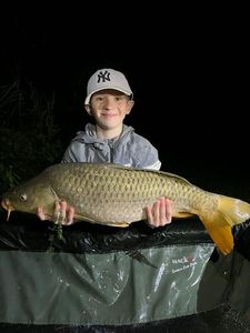 Mirror Carp