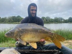 Mirror Carp