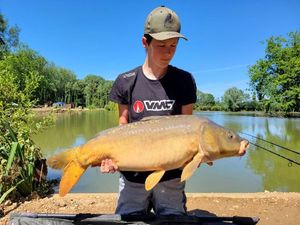 Mirror Carp