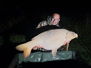 Common Carp