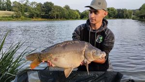 Mirror Carp