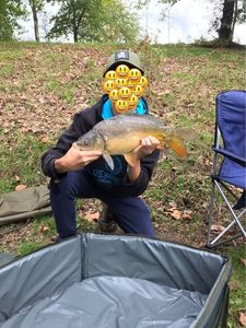 Mirror Carp