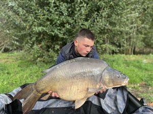 Mirror Carp