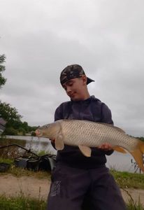 Common Carp