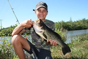 Largemouth Bass