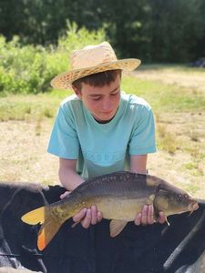 Mirror Carp