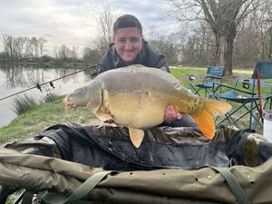 Mirror Carp