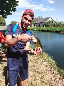 Largemouth Bass