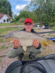 Common Carp