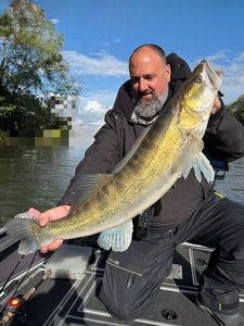 Zander