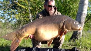 Mirror Carp