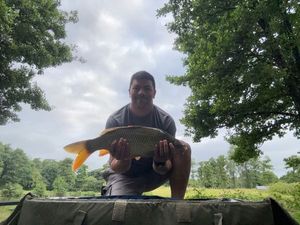 Common Carp