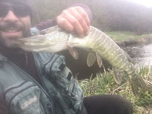 Northern Pike
