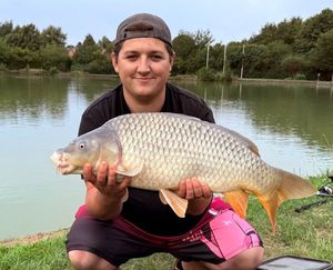 Common Carp