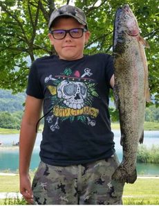 Rainbow Trout