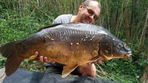 Mirror Carp