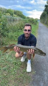 Northern Pike