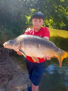 Mirror Carp