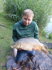 Common Carp