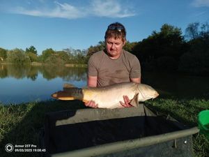 Mirror Carp