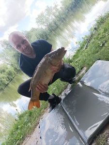 Mirror Carp